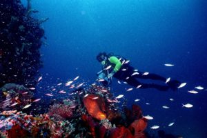 Tempat Wisata Alam Taman Laut Bunaken Indonesia