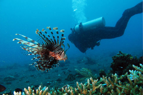 Tempat Wisata Alam Taman Laut Bunaken Indonesia
