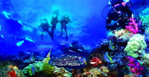 Taman Laut Bunaken, Pesona Keindahan Tempat Wisata Alam dari Sulawesi Utara Yang Membuatmu Semakin Terlena Dibuatnya