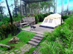 Lokasi Dan Harga Tiket Masuk Dusun Bambu Lembang Bandung, Serunya Liburan Kembali Ke Alam