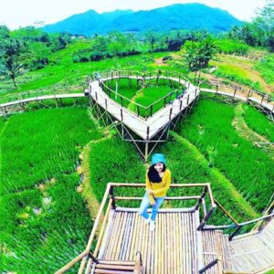 Lokasi Dan Harga Tiket Masuk Jembatan Cinta Purbalingga, Indahnya Jembatan di Tengah Sawah