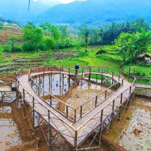 Lokasi Dan Harga Tiket Masuk Jembatan Cinta Purbalingga, Indahnya Jembatan di Tengah Sawah