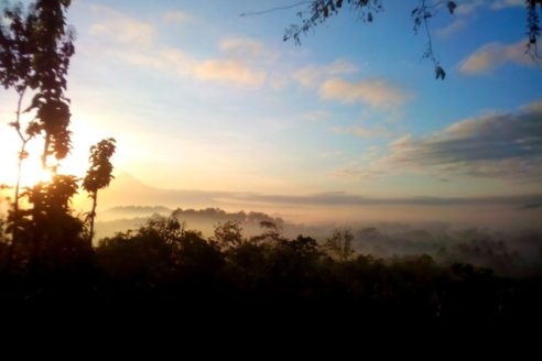 Alamat dan Harga Tiket Masuk Bukit Barede Magelang, Melihat Keindahan Sunrise Dibalik Tumbuhan Hijau