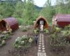 Lokasi dan Harga Sewa Pagupon Camp Coban Talun Batu, Serunya Menginap di Sangkar Burung Raksasa