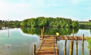 Harga Tiket Masuk dan Lokasi Pantai Pasir Kadilangu Jogja, Spot Terbaru Untuk Yang Ingin Move On Harga Tiket
