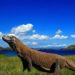 Harga Tiket Masuk dan Lokasi Taman Nasional Komodo, Eksotisme Wisata Alam Pelestarian Ekosistem