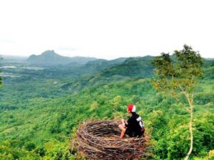 Harga Tiket Masuk dan Alamat Bukit Jomblo Tulungagung, Serunya Ngadem Dalam Sangkar Burung