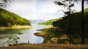 Lokasi dan Harga Tiket Masuk Ranu Gumbolo Tulungagung, Spot Wisata Danau Indah Yang Mempesona