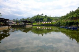 Harga Tiket Masuk dan Alamat Bukit Dhoho Indah Kediri, Destinasi Wisata Keluarga Terbaru di Kota Tahu