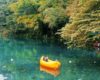 Lokasi dan Harga Tiket Masuk Situ Cicerem, Pesona Wisata Telaga Biru dari Kuningan Jawa Barat