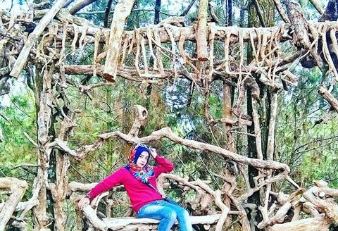Lokasi dan Harga Tiket Masuk Goa Pinus Pujon, Spot Wisata Terbaru Untuk Ngadem di Batu