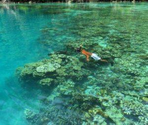 Lokasi dan Rute Menuju Blue Lagoon Sulawesi Tengah, Destinasi Wisata Pantai Yang Membuatmu Betah Disana