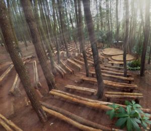 Harga Tiket Masuk dan Lokasi Hutan Pinus Asri, Spot Foto Selfie NgeHits di Jogja