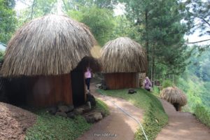 Lokasi dan Harga Tiket Masuk Goa Pinus Pujon, Spot Wisata Terbaru Untuk Ngadem di Batu