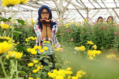 Harga Tiket Masuk Dan Lokasi Taman Agro Margomulyo, Spot Wisata NgeHits di Kediri