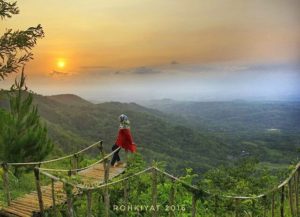 Alamat dan Harga Tiket Masuk Bukit Lintang Sewu Jogja, Spot Wisata Terbaru dengan Suguhan Hutan Kayu Putih