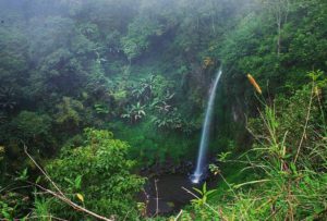 Harga Tiket Masuk dan Lokasi Coban Bidadari Poncokusumo, Spot Wisata Terbaru Yang Ngehits di Malang