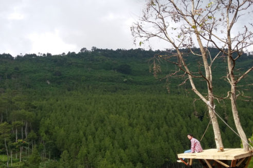 Lokasi dan Harga Tiket Masuk The Lodge Maribaya Lembang, Spot Wisata Terbaru dan Ngehits Di Bandung