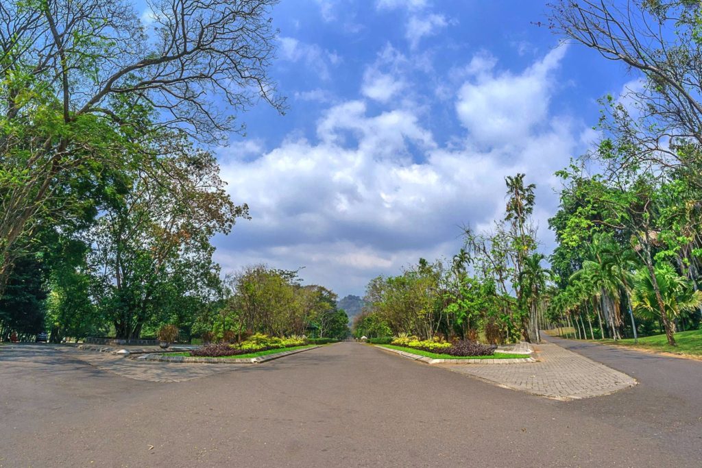 Lokasi dan Harga Tiket Masuk Kebun Raya Purwodadi, Destinasi Wisata