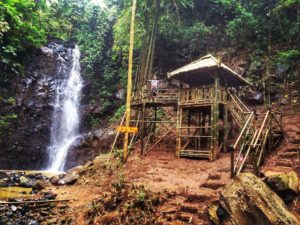 Lokasi dan Rute Menuju Omah Akar Raksasa Coban Jidor, Surga Wisata Tersembunyi dari Kota Malang