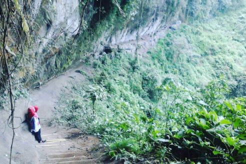 Lokasi dan Rute Menuju Omah Akar Raksasa Coban Jidor, Surga Wisata Tersembunyi dari Kota Malang