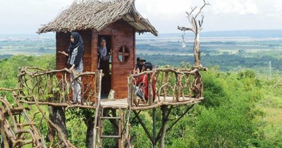 Lokasi dan Harga Tiket Masuk Jawatan Benculuk Banyuwangi, Keindahan Hutan Trembesi Ala Film Fantasi