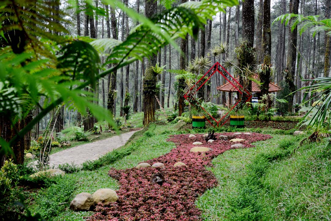 Harga Tiket Masuk dan Lokasi Orchid Forest Lembang