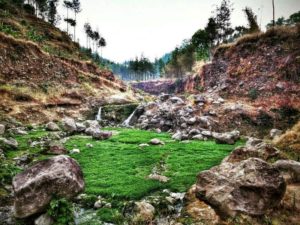 Harga Tiket Masuk dan Lokasi Ledok Ombo Poncokusumo Malang, Tempat Nongkrong Terbaru Yang Kekinian