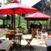 Lokasi dan Rute Menuju Cafe Indigo Dau Malang, Cafe Kekinian dengan Gemerlap Lampion