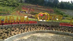 Harga Tiket Masuk dan Lokasi Pratin Kutabawa Purbalingga, Flower Garden di Bawah Kaki Gunung
