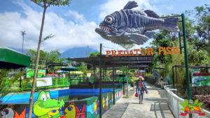Lokasi dan Harga Tiket Masuk Predator Fun Park Malang, Persembahan Wisata Keluarga Dari Kota Apel