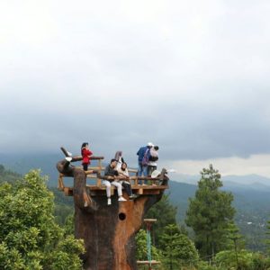 Lokasi dan Harga Tiket Masuk Bukit Gandrung Tanggulasi Medowo Kediri, Spot Wisata Terbaru Dengan View Perbukitan Hijau