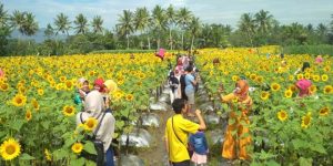 Harga Tiket dan Lokasi Taman Dewari Magelang, Spot Wisata Yang Ngehits di Jawa Tengah