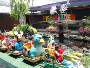Harga Tiket Masuk dan Jam Buka  Fish Garden Blitar, Destinasi Wisata Terbaru Yang Siap Diburu
