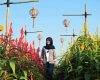Alamat dan Harga Tiket Masuk Resoinangun Garden Bantul, Pesona Keindahan Kebun Bunga dengan Sejuta View