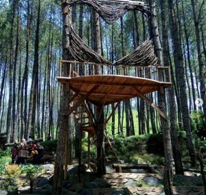 Tiket Masuk dan Alamat Kampoeng Ciherang Sumedang, Wisata Alam Baru dengan Suguhan Keindahan View