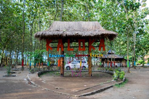 Harga Tiket dan Rute Menuju Kaloka Lodoyo Blitar, Spot Wisata Terbaru Yang Layak Untuk Diburu