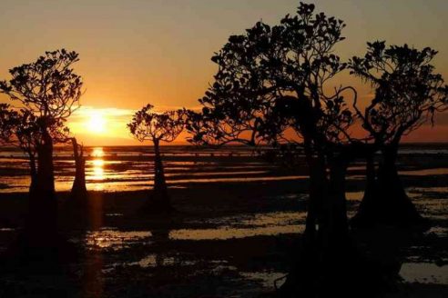 Lokasi dan Rute Menuju Pantai Walakiri Sumba, Spot Menarik Untuk Berburu Sunset
