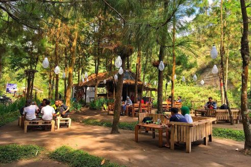 Lokasi dan Daftar Harga Menu Café Taman Pinus Jalibar Batu, Serunya Menikmati Kopi Ditengah Hutan Pinus