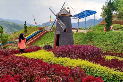 Lokasi dan Harga Tiket Masuk Kampung Tulip Bandung, Suguhan Keindahan Wisata Ala Belanda