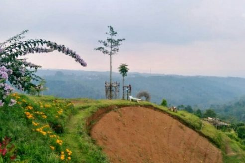 Lokasi dan Harga Tiket Masuk Bukit Kembang Arum Temanggung, Spot Baru Untuk Nikmati Suasana Segar Pegunungan