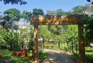 Harga Tiket dan Jam Buka Taman Botani Jember, Serunya Berwisata Sambil Belajar