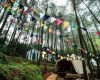 Rute dan Harga Menginap Glamping De Loano Purworejo, Serunya Menikmati Camping dengan Nuansa Glamour