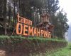 Jam Buka dan Harga Tiket Taman Oemah Pinus Tegal, Spot Wisata Baru dengan Suguhan Keindahan Alam Asri