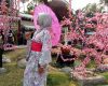 Lokasi dan Harga Tiket Masuk Istana Sakura Blitar, Serunya Menikmati Suasana Serasa Di Jepang