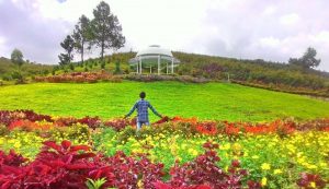 Rute dan Harga Tiket Masuk Sapo Juma Tongging Sumatera Utara, Pesona Resort dengan View Bunga Cantik