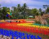 Lokasi dan Harga Tiket Masuk Bumi Kitiran Batu, Destinasi Wisata Cantik Yang Pantas Dilirik