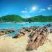 Tiket Masuk dan Alamat Pantai Wediombo Jogja, Cocok Untuk Kalian Para Pecinta Snorkeling