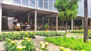 Rute dan Harga Tiket Masuk Rumah Atsiri Resto Tawangmangu, Wisata Edukasi Terbaru Yang Instagramable