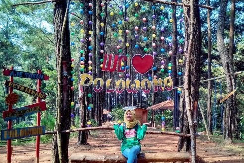 Harga Tiket Masuk dan Lokasi Wana Wisata Polowono Batang, Perpaduan Keindahan Perbukitan dengan Pohon Pinus